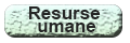 buton_resurse umane