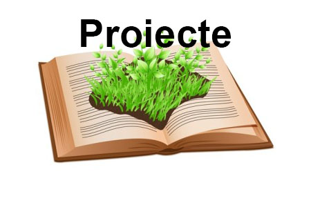 proiecte